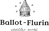 ballot-flurin-logo